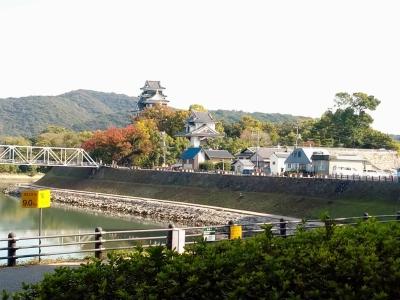 11月のランチ＆スイーツ会を開催しました！